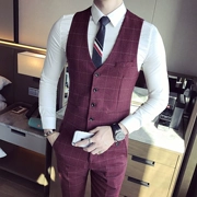 Suit vest vest nam Hàn Quốc quần tây ba mảnh phù hợp với đám cưới mùa hè người đàn ông tốt nhất nhóm kẻ sọc phù hợp với vest - Dệt kim Vest