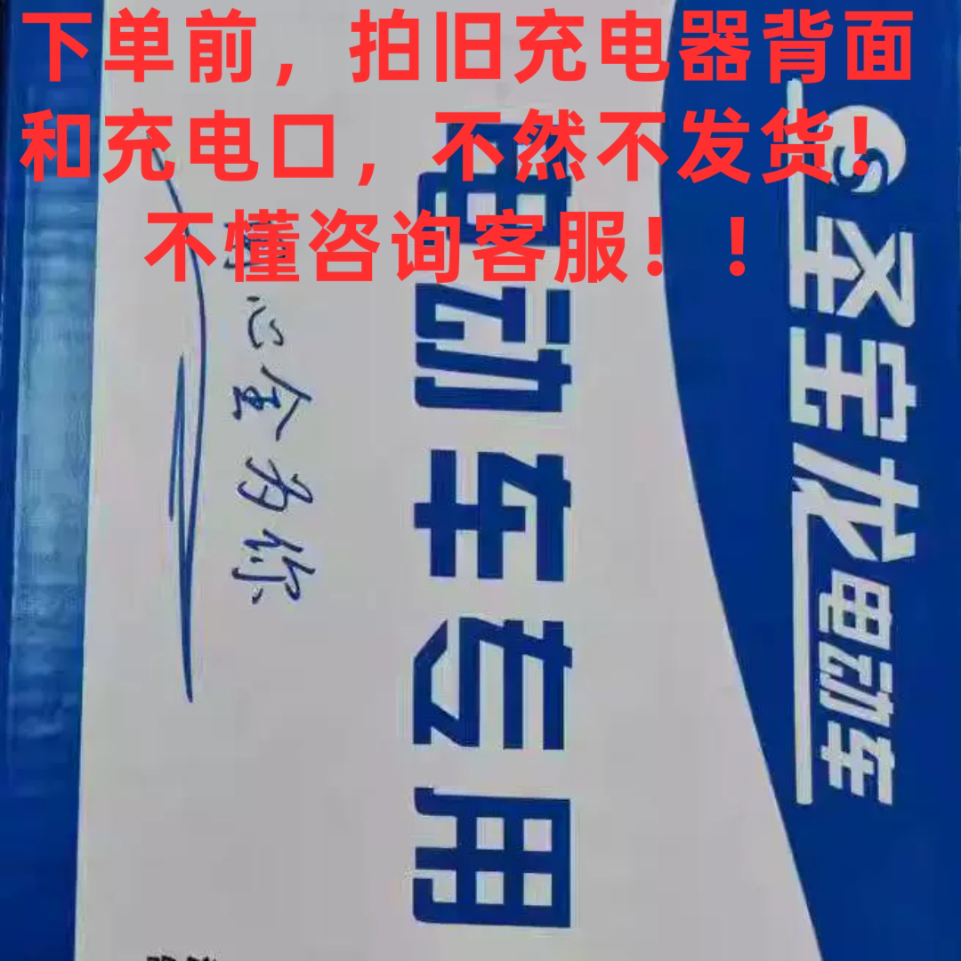 圣宝龙原装充电器新国标武汉圣宝龙电动车充电器电瓶车充电器