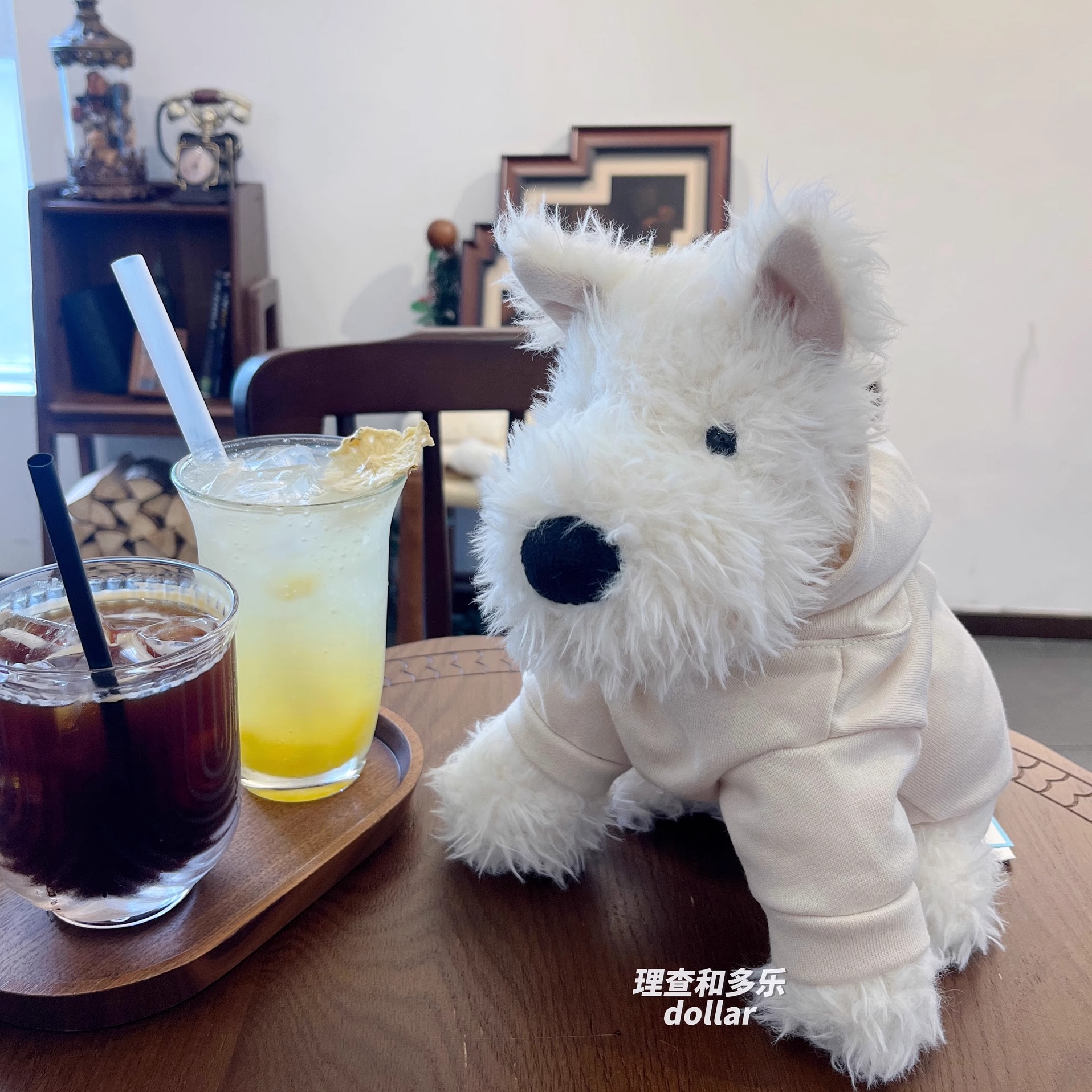 西高地衣服帽衫jellycat雪纳瑞狗狗玩偶衣服23cm小型犬纯棉娃衣