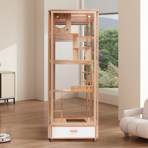 客厅摆放猫别墅通透全景猫别墅