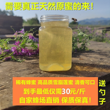 42度雪脂莲蜂蜜 养蜂人小卢的店(邓州卢氏蜜蜂园) 高品质紫苕子蜜