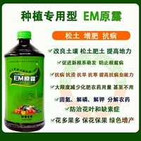 Jiangxi tianyi em Original Original Plant Em бактериальное фруктовое дерево