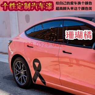 鹦鹉色漆珊瑚橘汽车漆定制色漆浅橘色喷漆改色翻新金属漆鹦鹉447