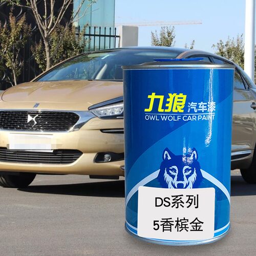 D油漆S香槟金色摩卡棕