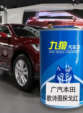 九狼汽车成品改色广汽丰油漆田歌诗图奥夫特黑探戈红太空银珍珠白
