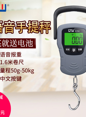 CNW快递称手提电子秤精准电子秤迷你小称手提可携式弹簧秤