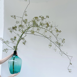 蔷薇果山归来水培鲜切枝条春节年宵花小众造型真可做干花夏天插花