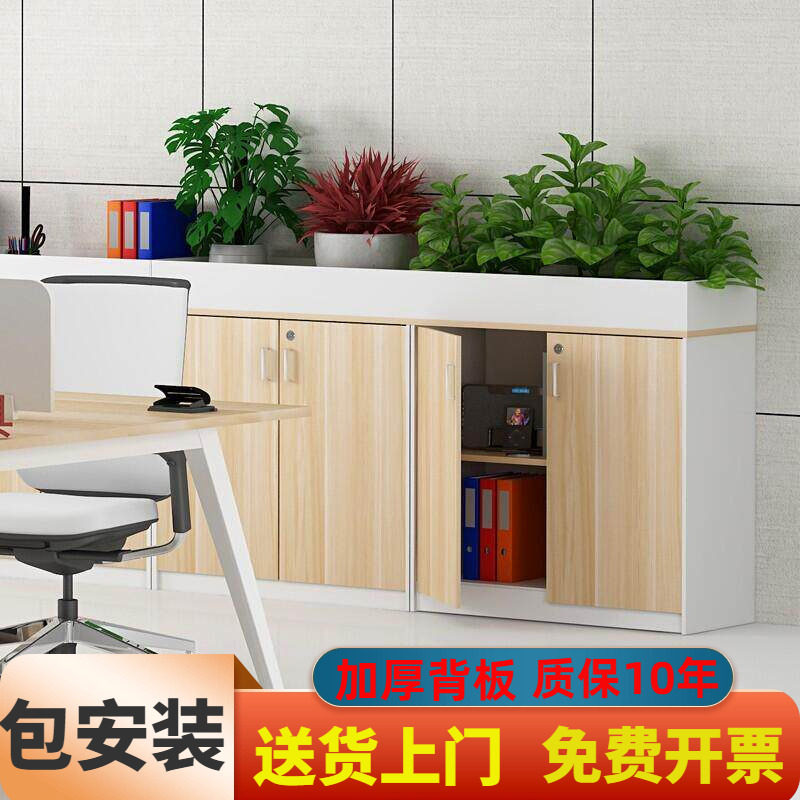 储物柜文件柜新品资料槽隔断柜子办公室柜花花草柜柜花柜矮柜边