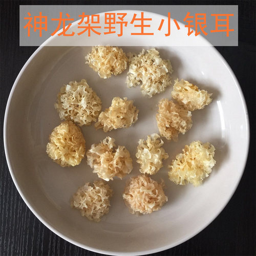【山货】神农架野生椴木小银耳 丑耳-桃胶皂角米黄金耳伴侣/100克