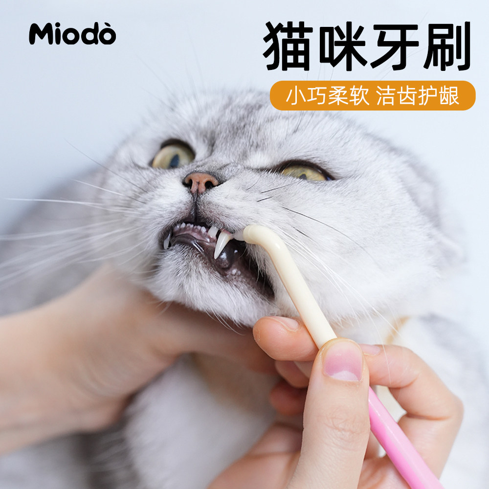 宠物牙刷牙膏猫咪专用小牙刷小型犬狗狗刷牙软毛小头小猫牙齿清洁