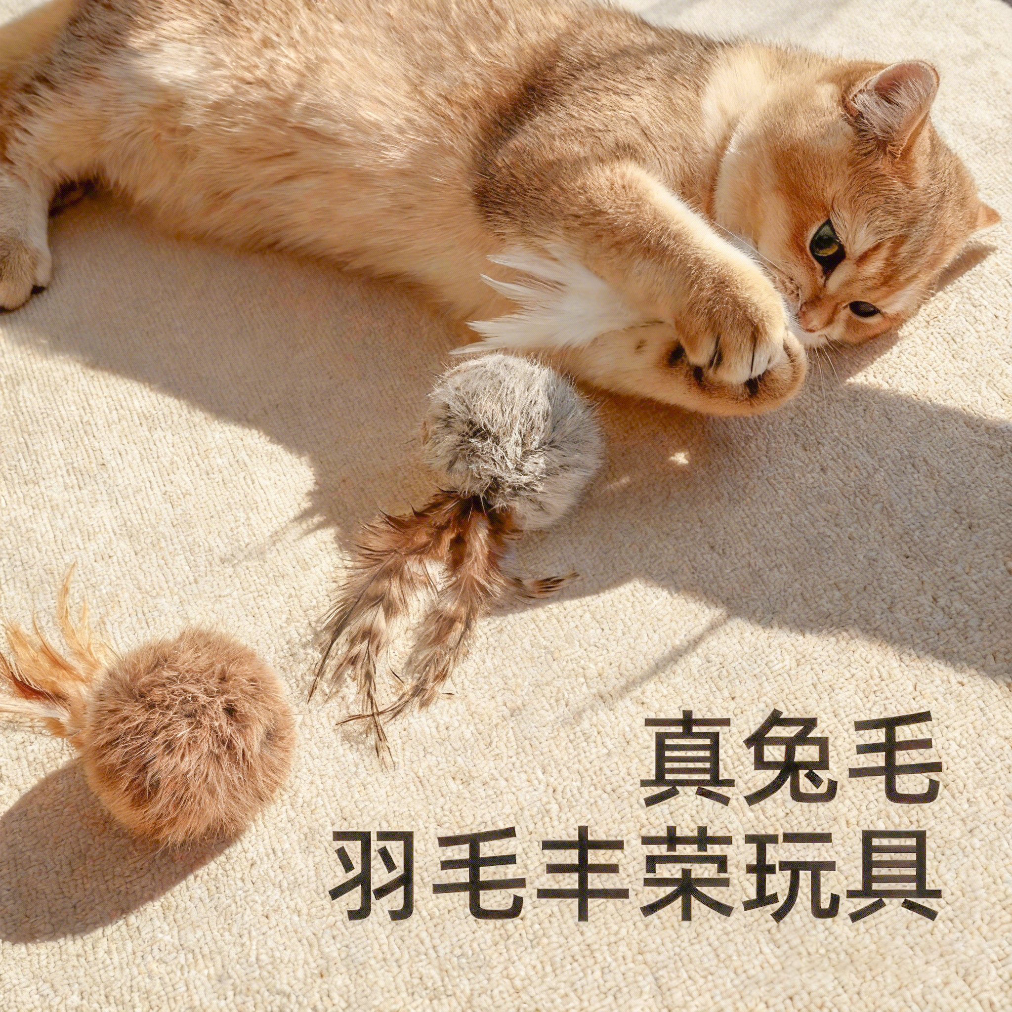 真兔毛球丰容玩具宠物丰容猫玩具猫咪趣味解闷羽毛解闷球嗅闻玩具,宠物/宠物食品及用品,漏食玩具/藏食玩具/嗅闻玩具,淘宝优惠券,粉丝福利购,淘宝优惠卷