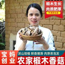 正宗广东河源和平农家野生椴木香菇干货250g花菇冬菇特产包邮