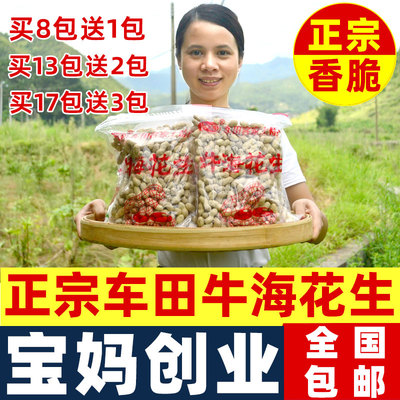 河源龙川车田沙炒香脆牛海花生