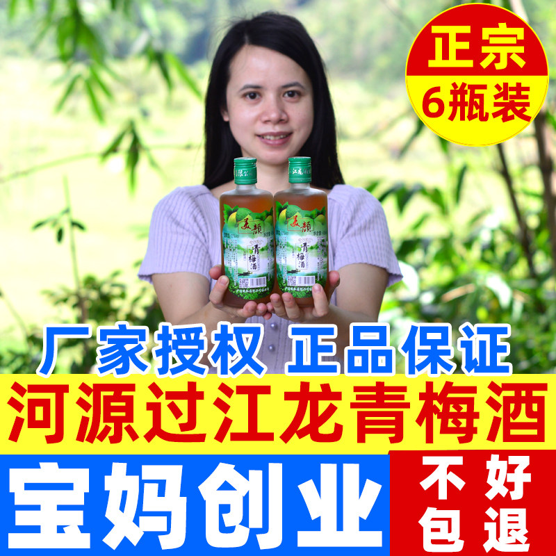 河源过江龙青梅酒果酒12度450ml