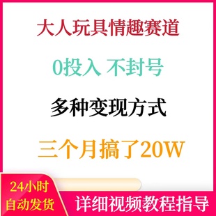 大人玩具情趣赛道0投入不封号多种变现方式三个月搞了20W赚钱副业