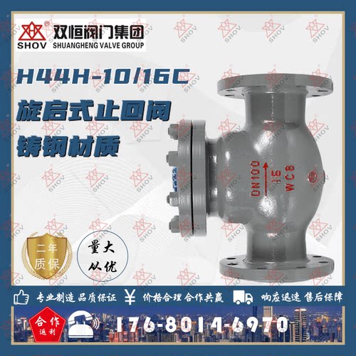 法兰止回阀铸钢旋启式双恒阀门