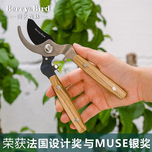 Berry&Bird园艺剪刀园林果树花卉盆景粗枝专用修枝剪省力园艺工具