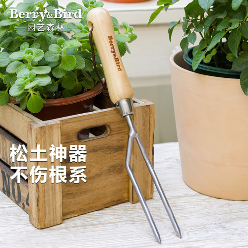Berry&Bird园艺工具二齿手叉不锈钢花园松土破土盆栽移植双齿叉子