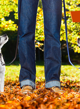 DOCO纯尼龙系列狗狗项圈牵引绳套装特价促销