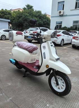 三叶都灵SY125T-6S 尾箱 后备箱 货箱架 原厂配件 后货架 行李架