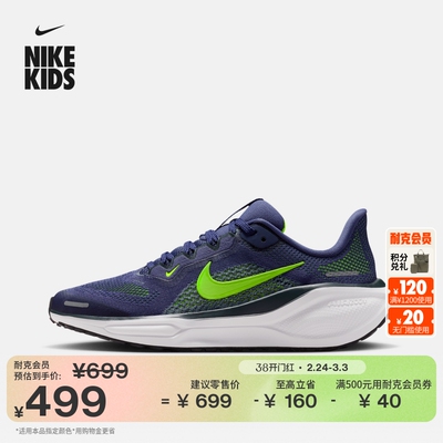 Nike耐克小飞马大童专业跑步鞋