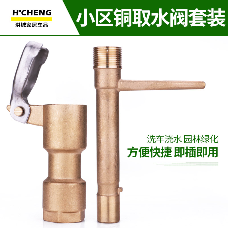 草坪全铜6分1寸插杆dn20取水器