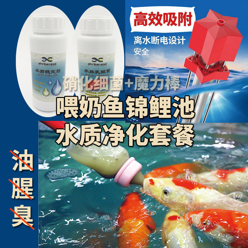 壹瑞康喂奶鱼锦鲤鱼池净化水质稳定乳酸菌硝化菌稳水去腥臭治鱼病