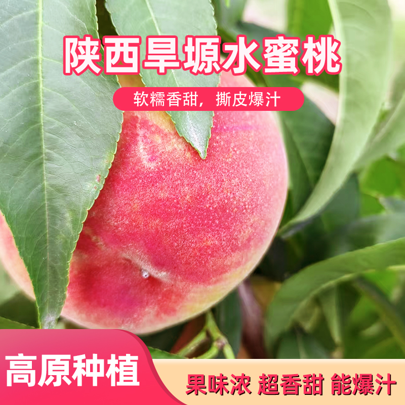 香甜果味浓爆汁水蜜桃