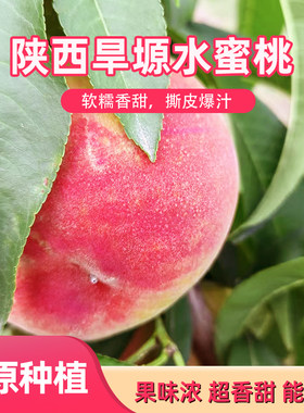 香甜果味浓爆汁水蜜桃