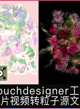 Touchdesigner工程玫瑰花园花朵图片转粒子可替换点云艺术源文件