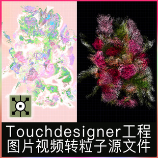 Touchdesigner工程玫瑰花园花朵图片转粒子可替换点云艺术源文件