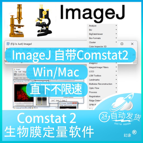 COMSTAT 2 ImageJ Comstat2 软件自带插件生物膜定量分析 Win Mac