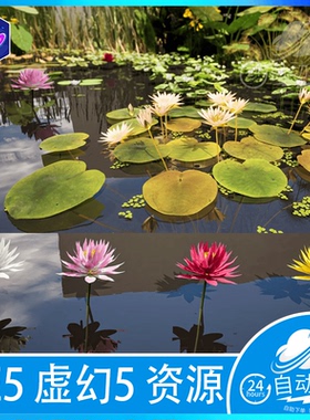 ue5虚幻5 园林水生植物荷花芦苇莲花Landscaping Aquatic Plants