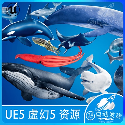 UE5虚幻5 海洋生物鱼类海豚鲸鱼鲨鱼乌贼海豹章鱼 Ocean Animals