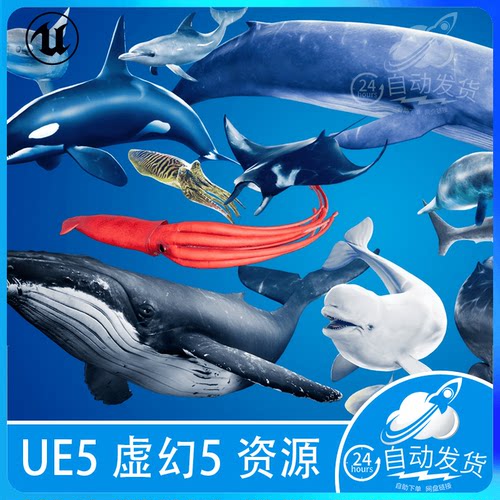 UE5虚幻5 海洋生物鱼类海豚鲸鱼鲨鱼乌贼海豹章鱼 Ocean Animals