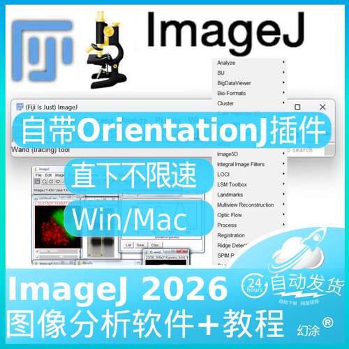 ImageJ 自带OrientationJ fiji方向图像纤维定性分析插件Win Mac
