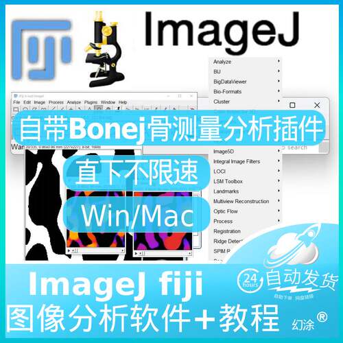 ImageJ 自带BoneJ插件版 Fiji Bone J骨测量分析骨骼 Win Mac