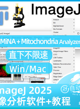Fiji ImageJ自带MiNA Mitochondria Analysis插件 线粒体分析专用