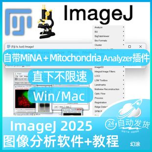 Fiji ImageJ自带MiNA Mitochondria Analysis插件 线粒体分析专用