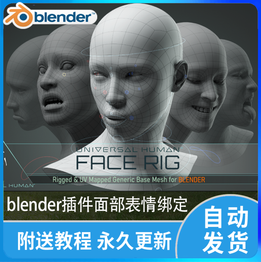 Blender插件facerig面部角色表情绑定Universal human face rig 商务/设计服务 设计素材/源文件 原图主图