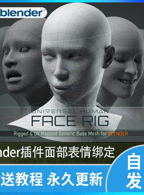 Blender插件facerig面部角色表情绑定Universal human face rig