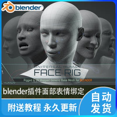 Blender插件facerig面部角色表情绑定Universal human face rig