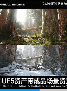 ue5虚幻5 写实森林红杉树林场景素材资源 包含雪景Redwood Forest