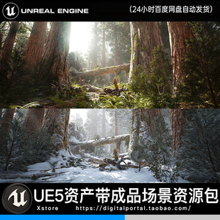 Forest 包含雪景Redwood ue5虚幻5 写实森林红杉树林场景素材资源