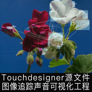 Touchdesigner源文件 图像数据追踪声音可视化交互blob工程项目