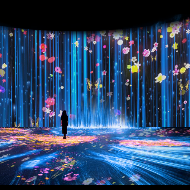 沉浸式花海led大屏全息投影新媒体艺术展览数字展厅视频素材片源