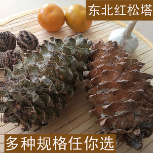 25年新鲜红松塔子东北大松塔野生松树塔 松果松鼠粮生熟开口松子