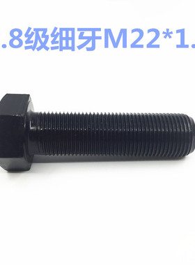 8.8级细牙外六角高强细牙GB5785/GB5786 M22*1.5*45/50/60/90-100