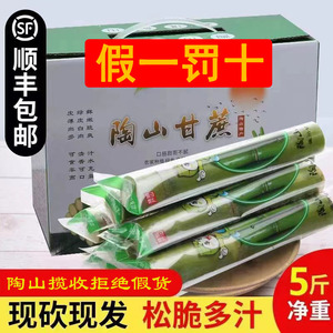 顺丰陶山甘蔗现货青皮绿皮果蔗温州特产水果应季当季5斤礼盒送礼