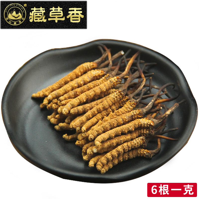 雪山藏草香 青海玉树正品冬虫夏草6根/克虫草无断草礼盒精选